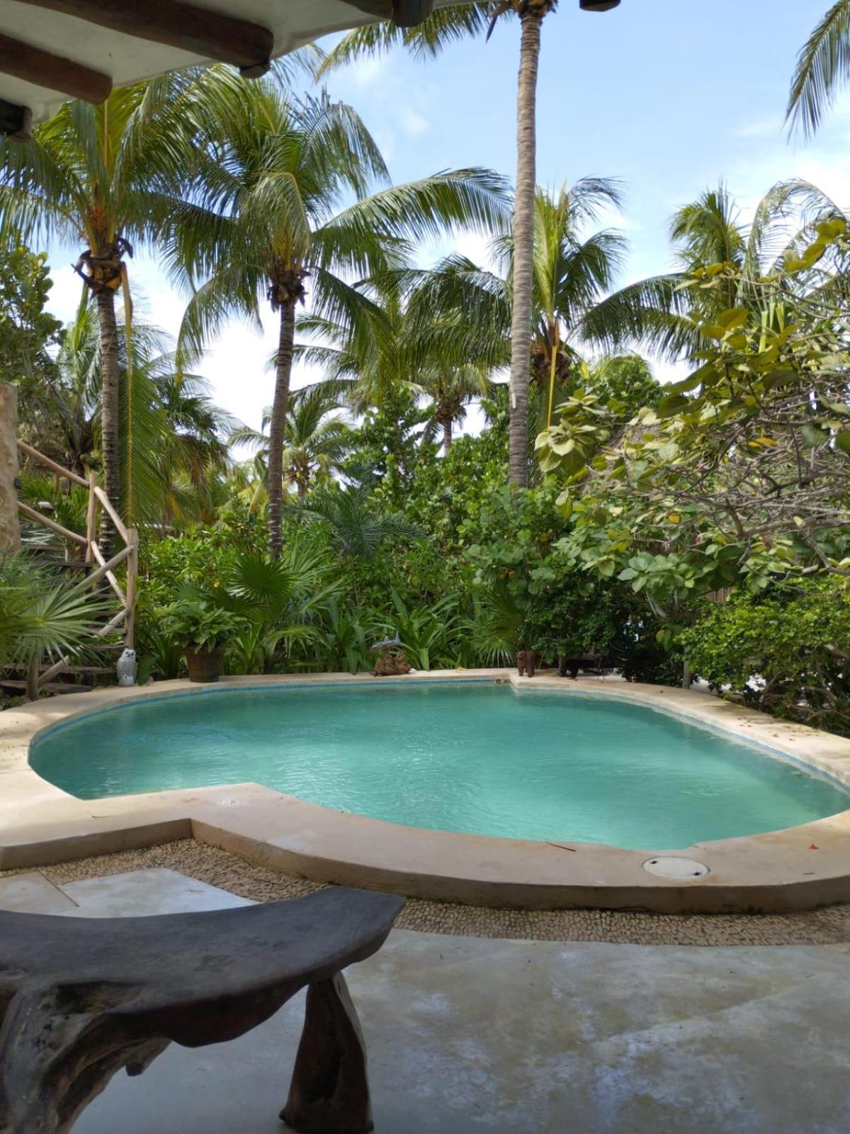 Bed and Breakfast Casa Tom Tom - Adults Only à Holbox Extérieur photo